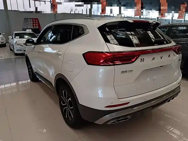 Haval H6 2021, фото 4