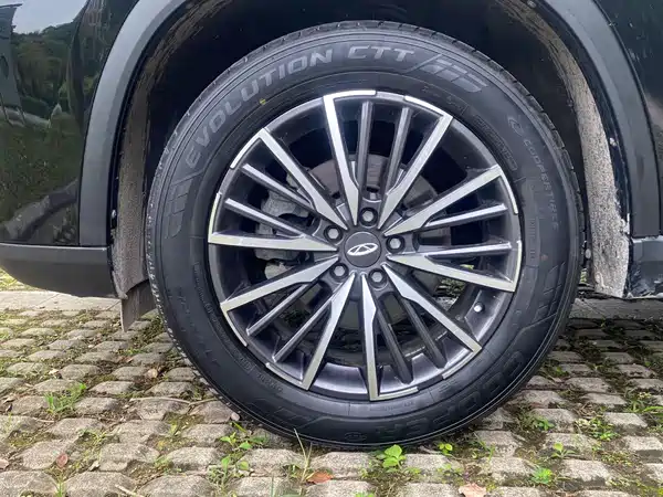 Chery Tiggo 8 Pro Max 2021, фото 21