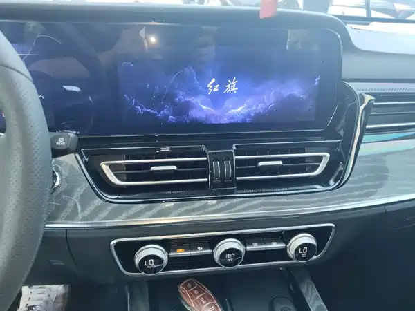 Hongqi HS5 2023, фото 12