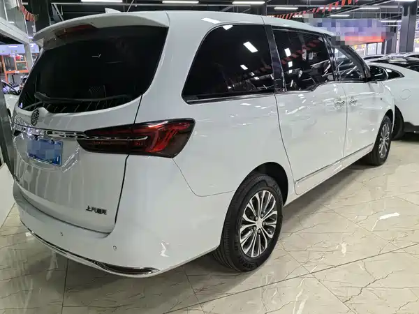 Buick GL8 2021, фото 6