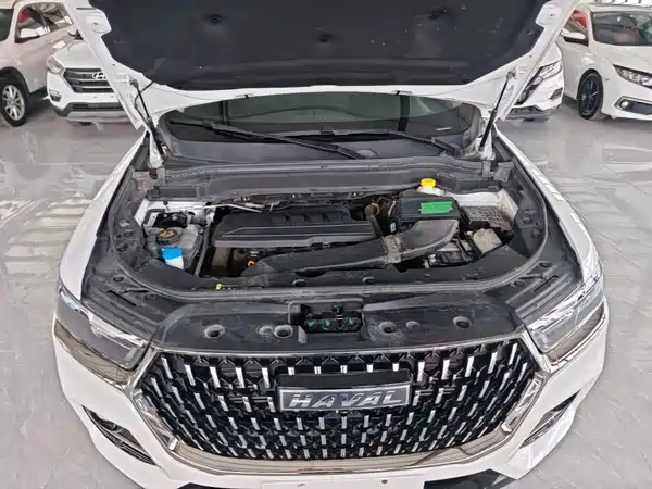 Haval H6 2023, фото 19