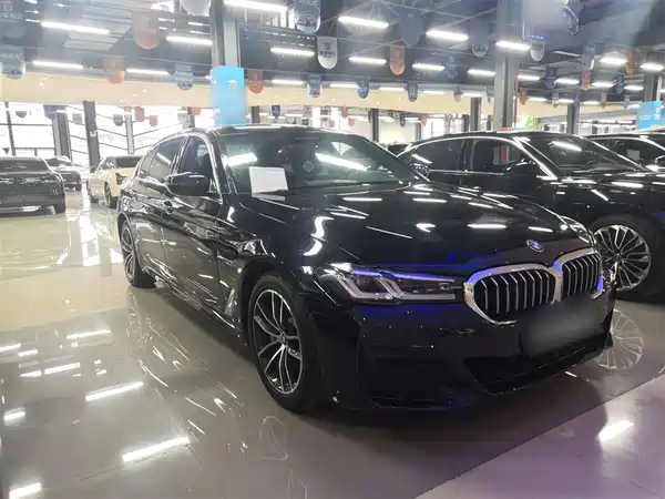 BMW 5 Series PHEV 2022, фото 5