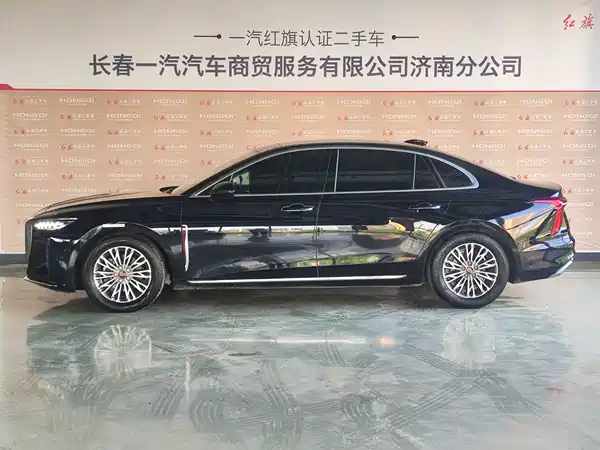 Hongqi H5 2024, фото 3