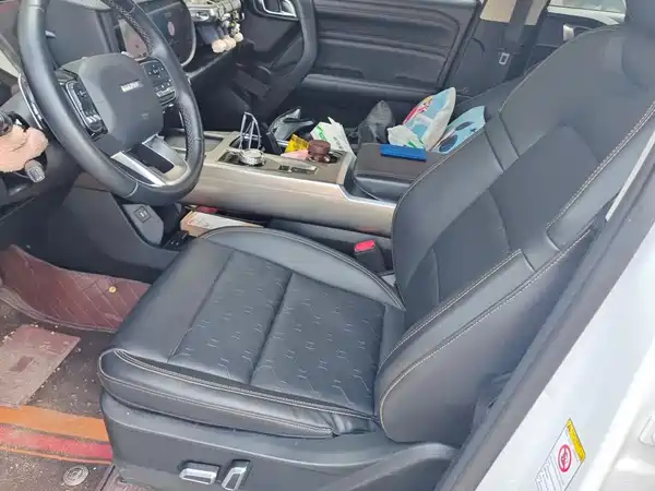 Haval Dargo 2021, фото 9