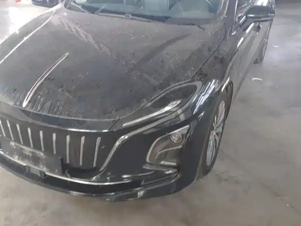 Hongqi E-QM5 2022, фото 23