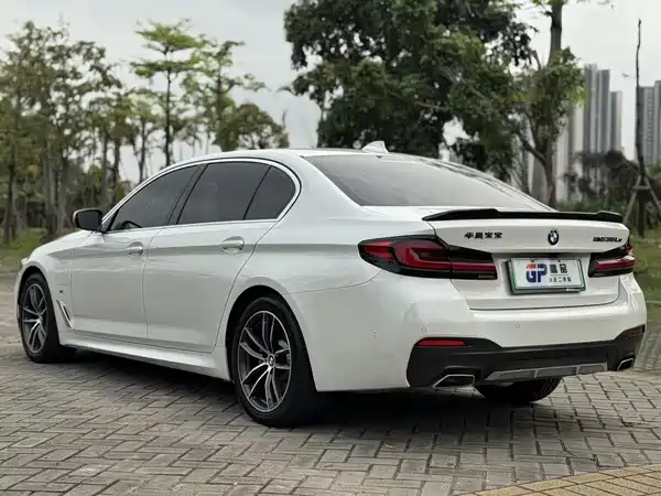 BMW 5 Series PHEV 2022, фото 4