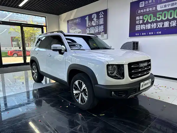 Haval Dargo 2022, фото 3