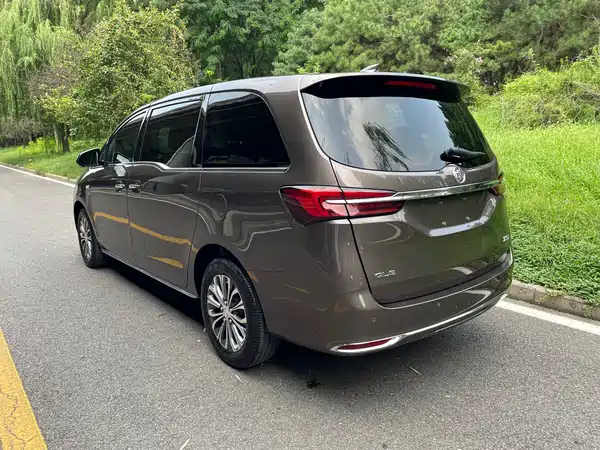 Buick GL8 2023, фото 4