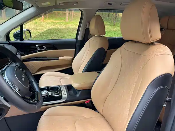 Kia Carnival 2021, фото 10