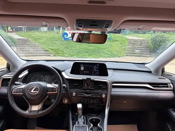 Lexus RX 2020, фото 10