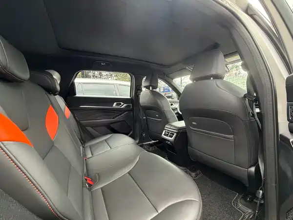 Haval Shenshou 2023, фото 9