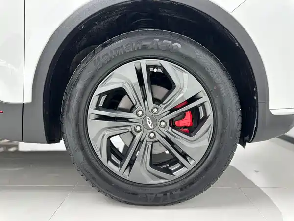 Chery Tiggo 7 2022, фото 15