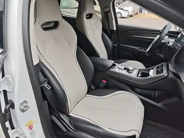 BYD Destroyer 05 2024, фото 24