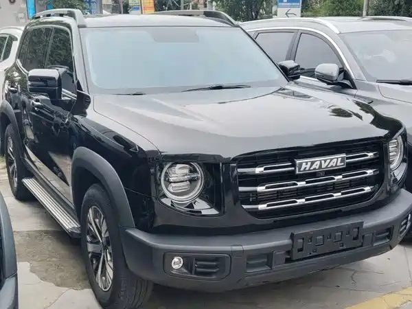 Haval Dargo 2021, фото 3