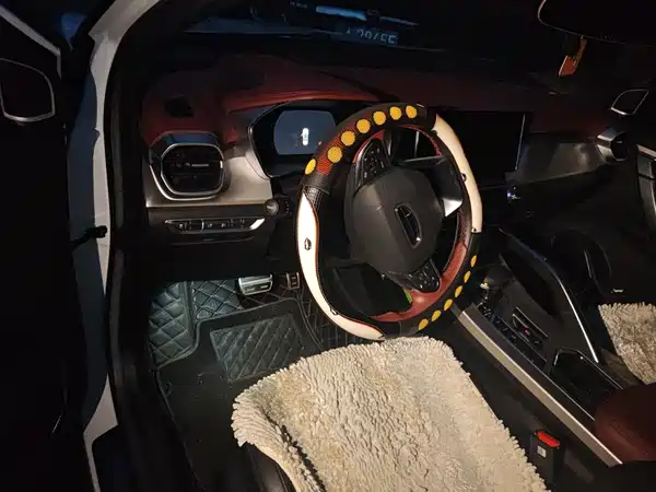 Geely Coolray 2021, фото 12