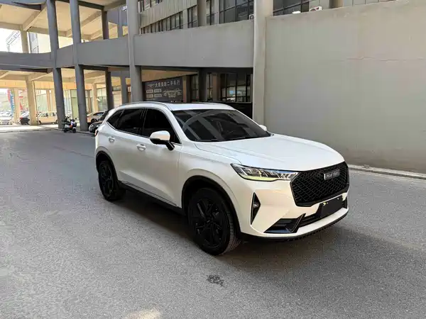 Haval H6 2021, фото 3
