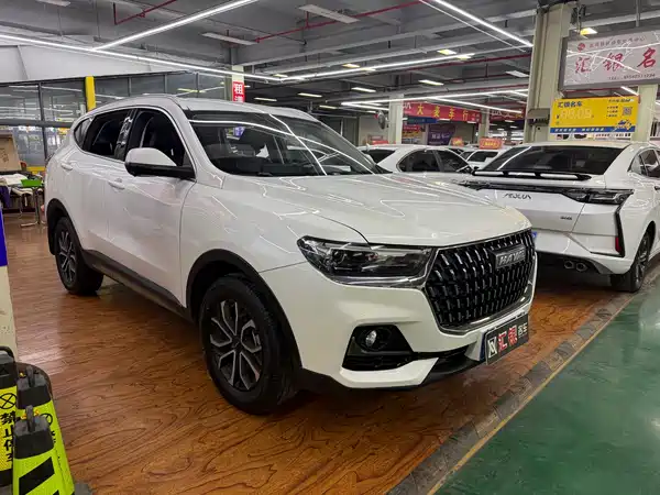 Haval H6 2023, фото 3