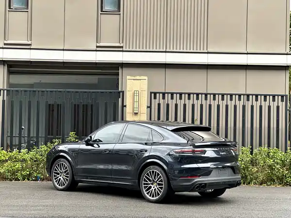 Porsche Cayenne 2022, фото 6