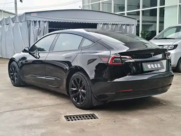 Tesla Model 3 2021, фото 5