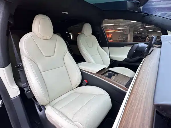 Tesla Model X 2023, фото 15