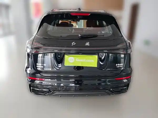 Hongqi HS5 2023, фото 9