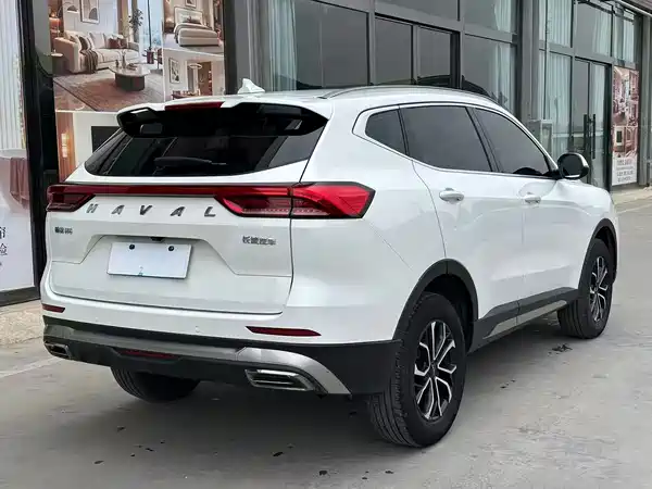 Haval H6 2021, фото 6