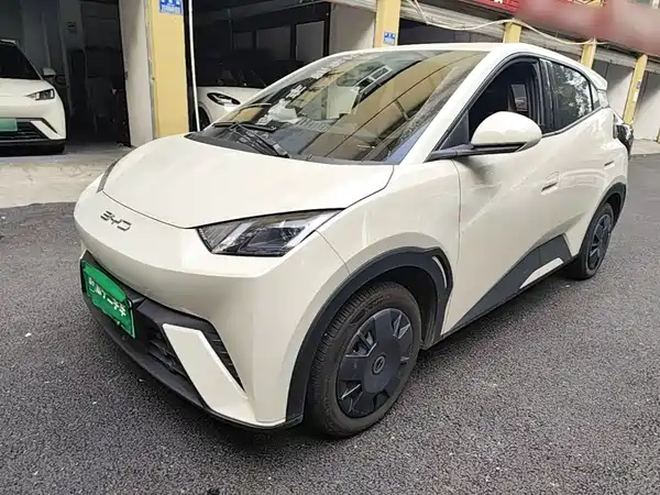 BYD Seagull 2024