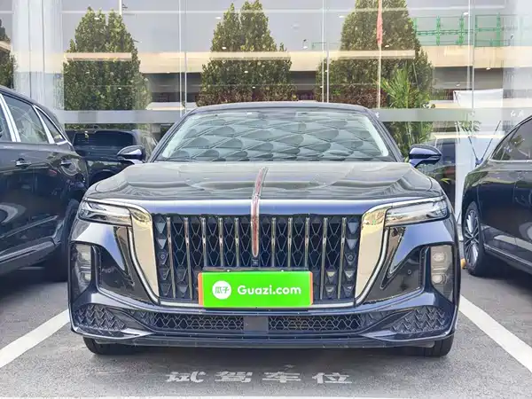 Hongqi H9 2024, фото 2