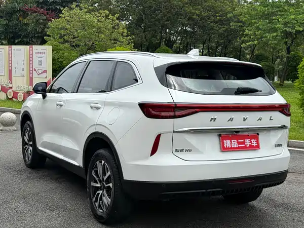 Haval H6 2021, фото 5