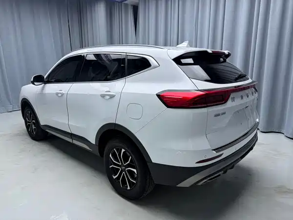 Haval H6 2021, фото 4