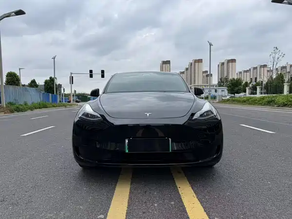 Tesla Model Y 2022, фото 2