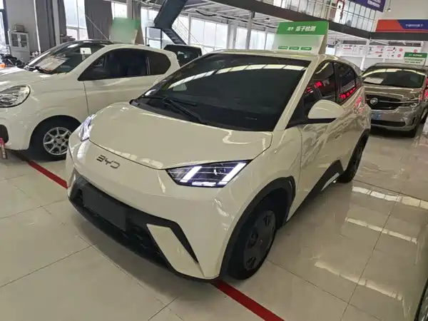 BYD Seagull 2024