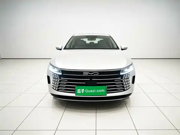 BYD Destroyer 05 2022, фото 2