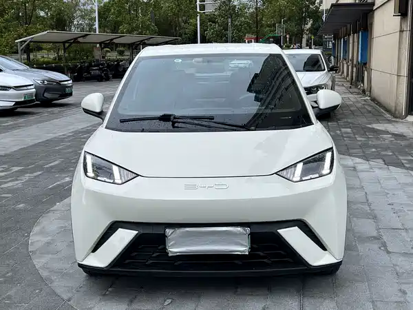 BYD Seagull 2024