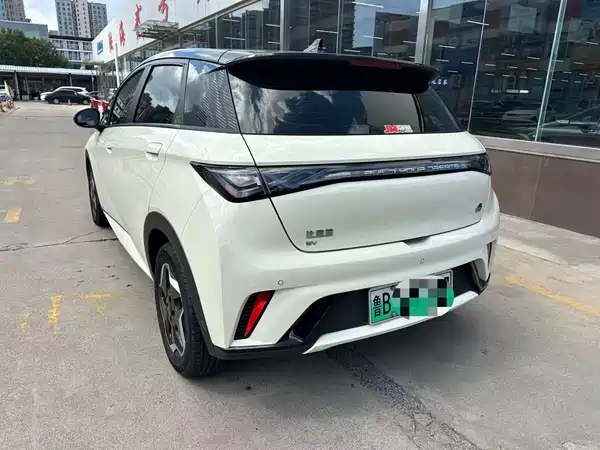 BYD Dolphin 2021, фото 7