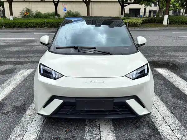 BYD Seagull 2023, фото 2