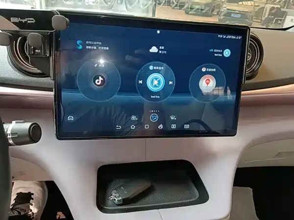 BYD Dolphin 2021, фото 12