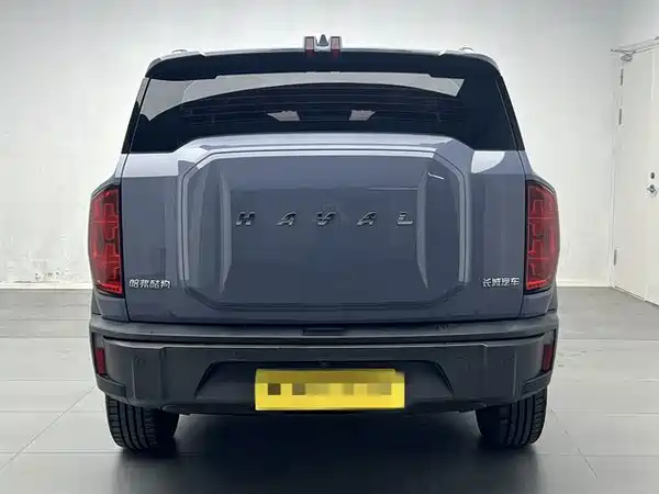Haval Cool Dog 2022, фото 5