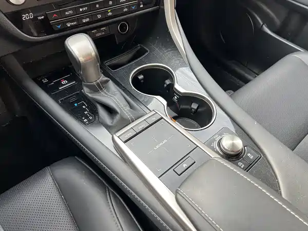 Lexus RX 2020, фото 11
