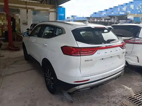 Haval H6 2021, фото 4