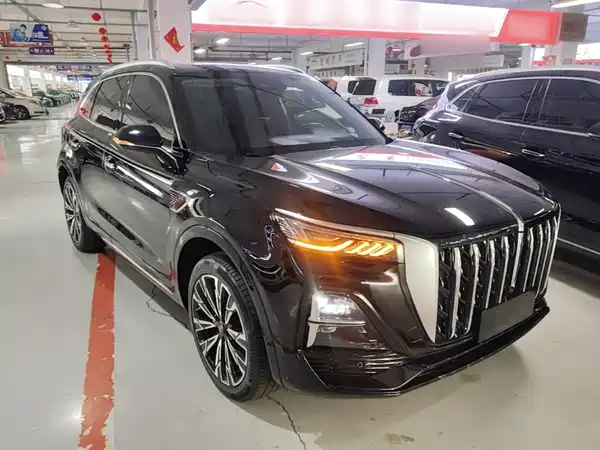 Hongqi HS5 2023, фото 3