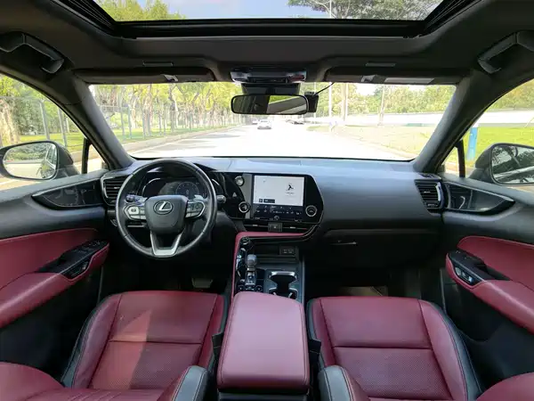 Lexus NX 2022, фото 17