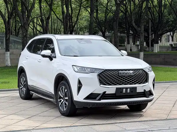 Haval H6 2021, фото 3