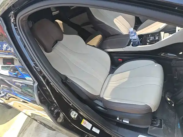 BYD Song PLUS EV 2025, фото 25