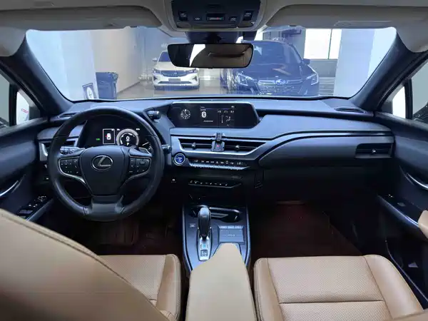 Lexus UX EV 2020, фото 16