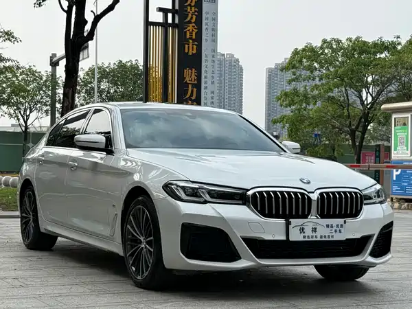 BMW 5 Series 2022, фото 3