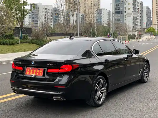 BMW 5 Series 2022, фото 4