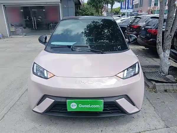 BYD Seagull 2024, фото 2