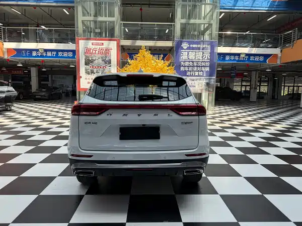 Haval H6 2021, фото 4