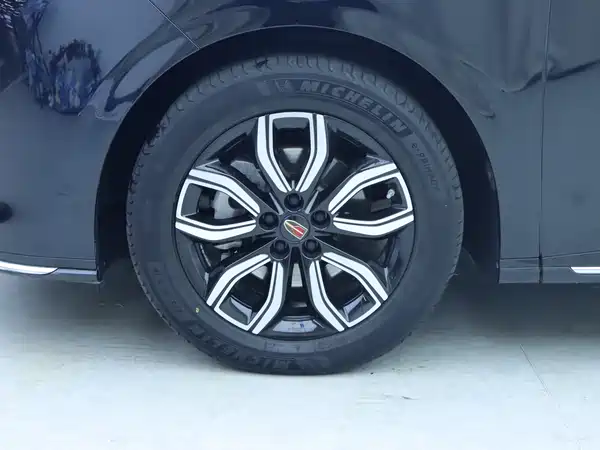 Hongqi HQ9 2023, фото 4